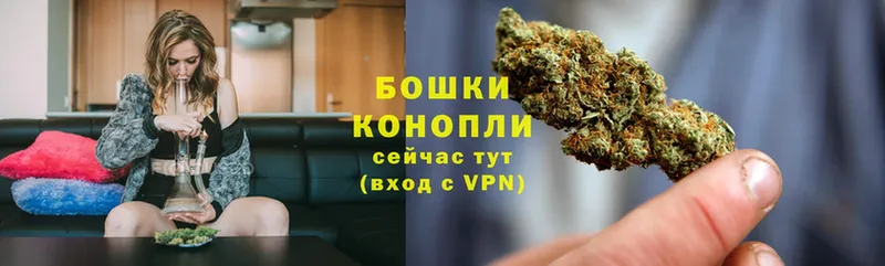 Каннабис Bruce Banner  Вельск 